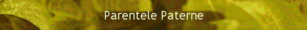 Parentele Paterne