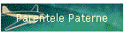Parentele Paterne